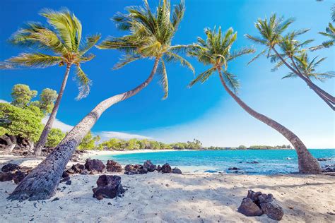 10 Best Things To Do In Big Island Hawaii What Is Hawaiis Big Island Most Famous For Go