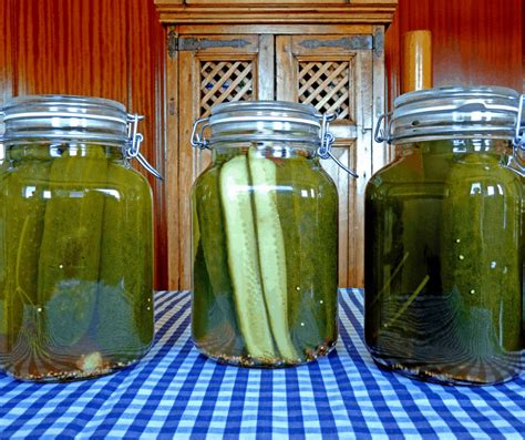 7 Health Benefits Of Pickles Shi Macrobiotics Blog