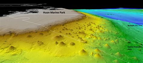 Deep Sea Coral Reefs On Tasmanian Seamounts Are Globally Significant