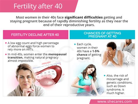 Pin On Complete Fertility Guide