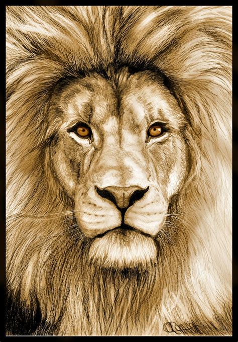 lion color drawing | FineArt. | Pinterest | Google images, Izu and Lions
