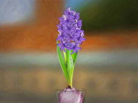 How To Grow A Hyacinth Bulb In Water 9 Steps With Pictures