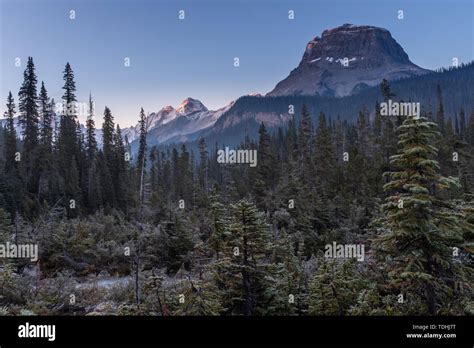 A Stunning Early Morning View Of Majestic Cathedral Mountain Near The