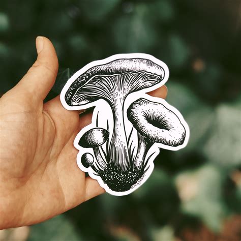 Art By Kaari Mushroom Sticker Pack Set Of 3
