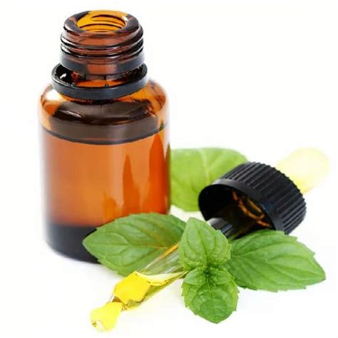 Mentha Citrata Oil At Rs 1800kg Mentha Citrata Crude Oil In New