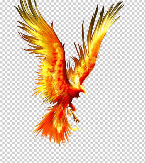 Ilustración De Phoenix Roja Mitología Del Tatuaje De Aves De Fuego De