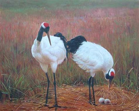Birds Oil Paintings Fine Birds Oil Paintings From China Manufacturer Manufactory Factory And