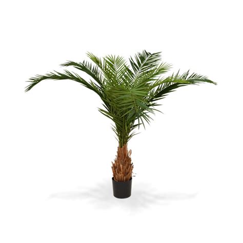 Fruit trees for sale near me. Artificial Palm Trees for Sale Near Me | AdinaPorter