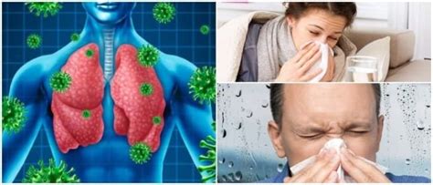 Enfermedades Del Sistema Respiratorio Causas Sntomas Y