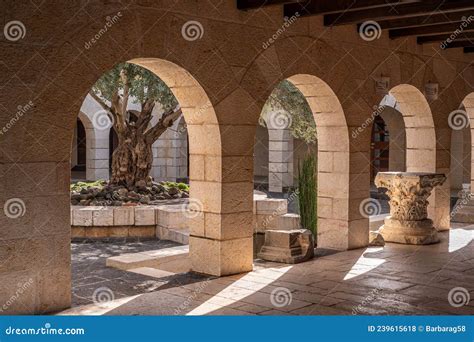 Courtyard Area Of Tabgha Or The Church Of The Multiplication Of The