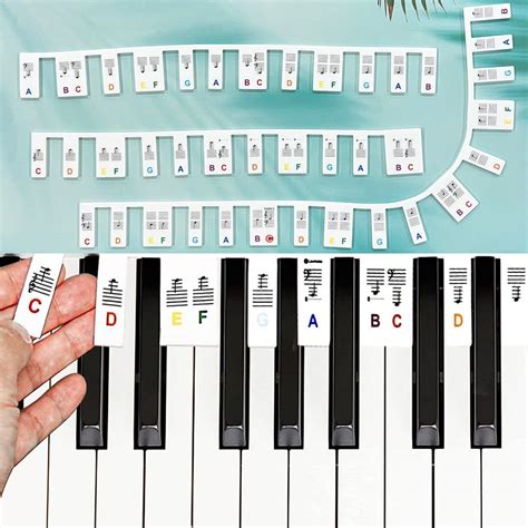 Buy Piano Keyboard Notes Guide Piano Key Labels For Beginners Kids