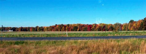 Some Fall Colors Along Interstate 65 North In Southern