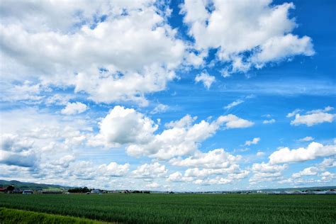 北海道の広大な畑と空の写真素材 ぱくたそ