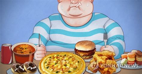 아동 비만이 청소년기까지패스트푸드·탄산음료 등 원인 연합뉴스