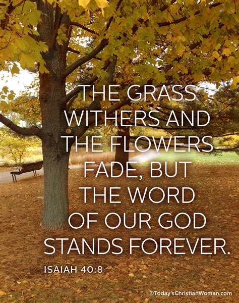 Isaiah 408 The Grass Withers And The Flowers Fade But The Word Of