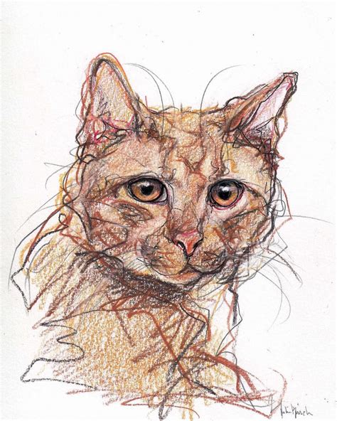 How About A Cat Tormund Pencil Colored Pencil And Ink Cat Art Cat
