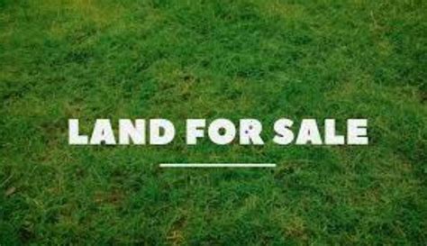 Land Buying Procedure In Kenya General News Prolatest Prolatest