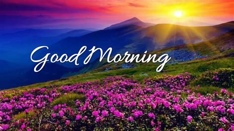 Good Morning Wishes,Good Morning Greetings,E-card,Good Morning Whatsapp ...