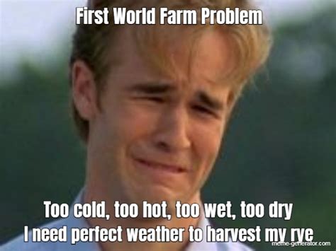 Too Cold Too Hot Too Wet Too Dry I Need Perfect Weather Meme Generator