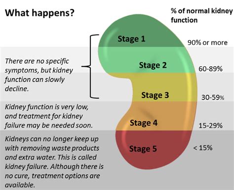 Find out about chronic kidney disease and what you can do to prevent it or slow its progression. ChoosingDialysis.org > Your Kidney Health > Chronic Kidney ...