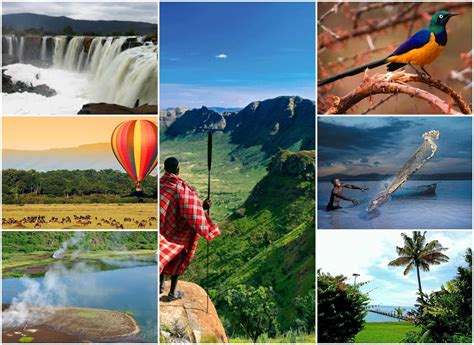 Exploring The Wonders Of Kenya A Comprehensive Guide To The Countrys