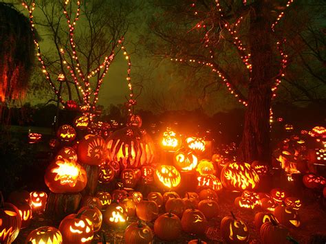 Halloween Pumpkin Backgrounds Pixelstalknet