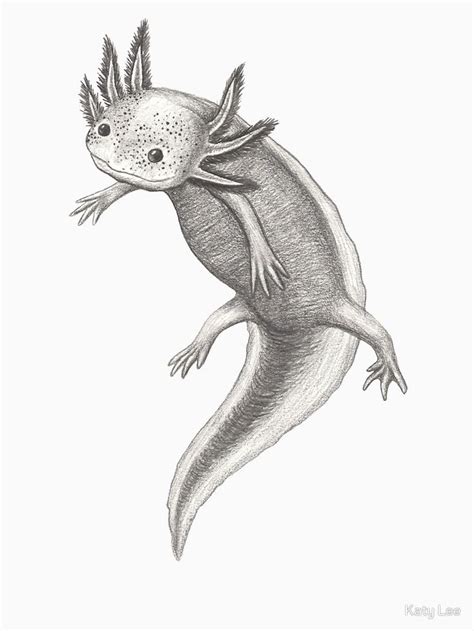 Floating Axolotl By Katylee Axolotl Animal Drawings Mythical