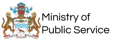 public service rules ministry of public service