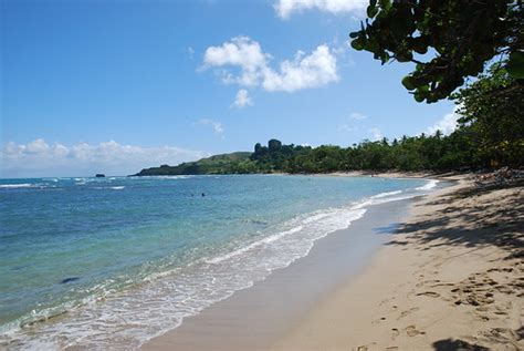 Riu Bachata Beach Dominican Republic Beach Riu Bachata D Flickr