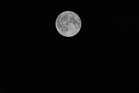 Moon Night Full Free Photo On Pixabay Pixabay