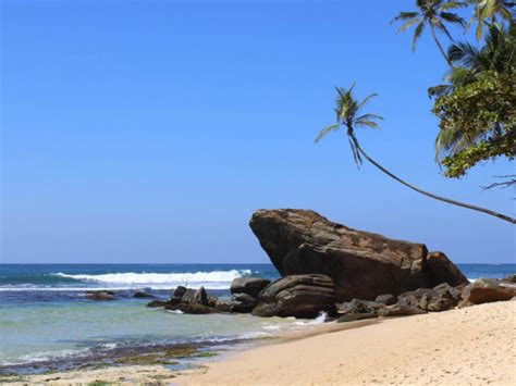 Privé rondreis Sri Lankan Shores Undiscovered