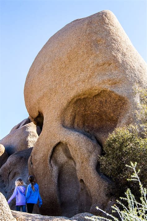 8 Awesome Things To Do In Joshua Tree National Park California
