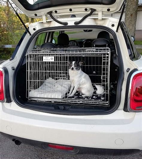 Car Dog Travel Crate Mini One Arrows Uk