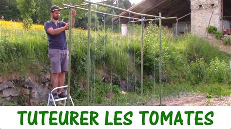 Tuteurer Les Tomates Construire Une Structure En Bambou Youtube