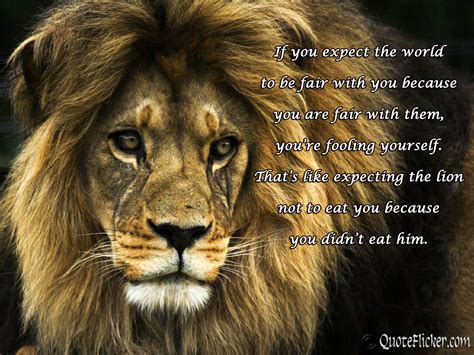 Like A Strong Lion Quotes Quotesgram