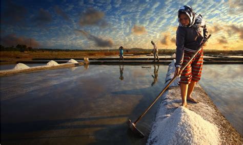 Potensi Dan Peluang Bisnis Garam Di Indonesia Menjanjikan