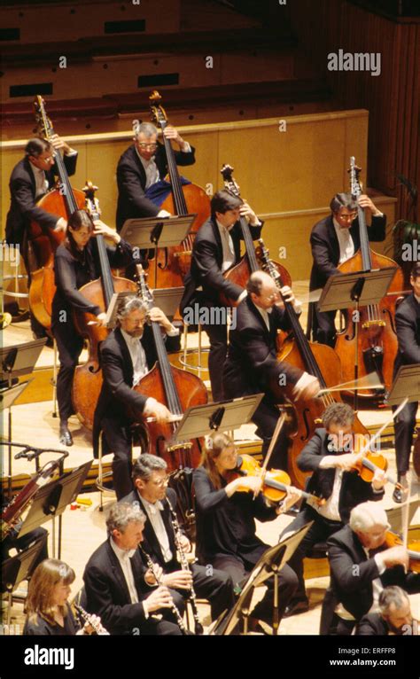 Double Bass Orchestral Section London Philharmonic Orchestra Royal Festival Hall London