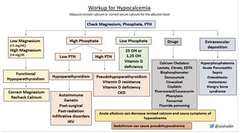 Hypocalcemia Workup Differential Diagnosis Algorithm Grepmed