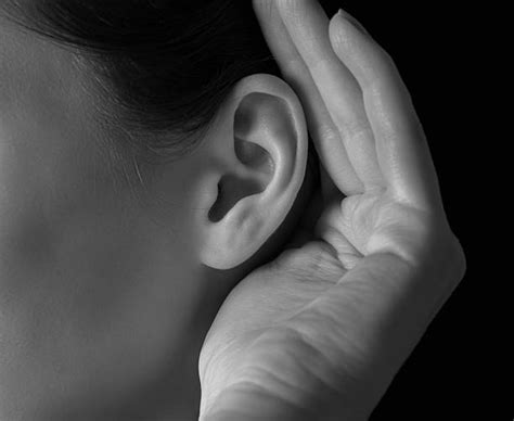 Royalty Free Human Ear Pictures Images And Stock Photos Istock