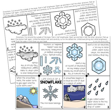 Life Cycle Of A Snowflake Worksheet Worksheets Printable Free