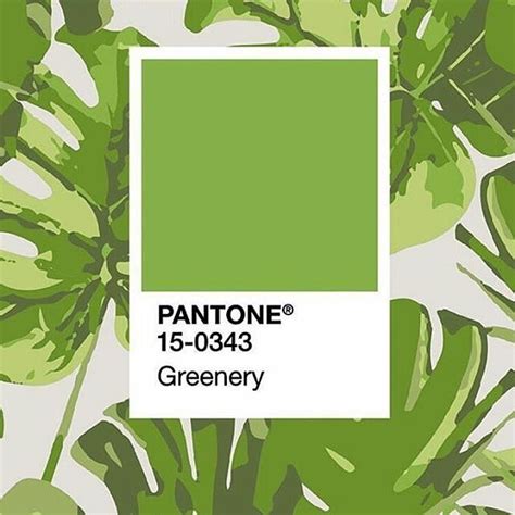 Pin On Greenery Pantone 2017