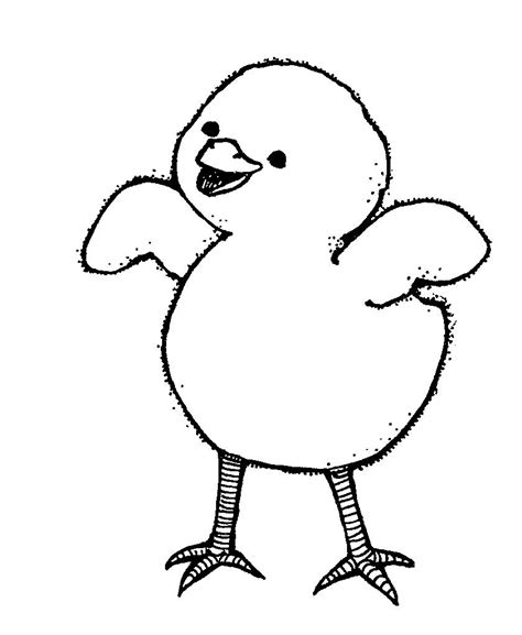 Animated Baby Chicks Coloring Pages Coloring Pages