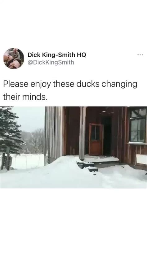 Please Enjoy These Ducks Changing Their Minds Popular Memes On The