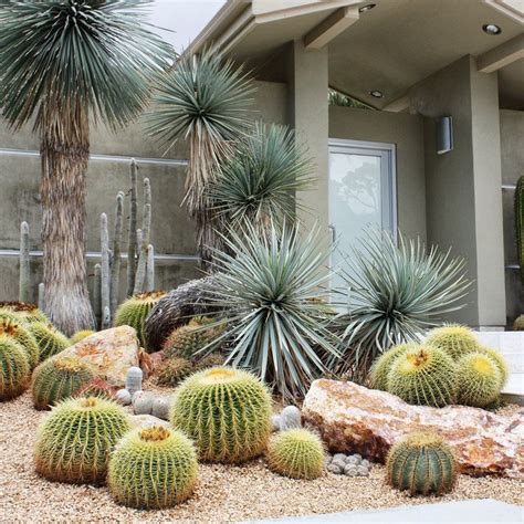Design With Cactus Desert Landscaping Front Yard Decor Cactus