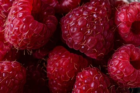 Raspberries, like blueberries, strawberries, and cranberries aren't toxic for dogs the way that grapes are, for example. Can Dogs Eat Raspberries? Are They Safe? | Dog's Health
