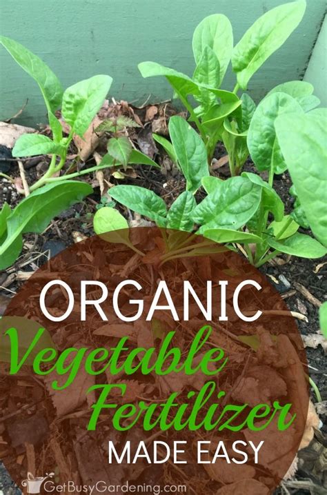 All plants and vegetables thrive on different proportions of nutrients. How To Fertilize A Vegetable Garden | Organic vegetable ...