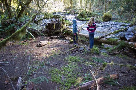 East Fork Trail Hike Hiking In Portland Oregon And Washington