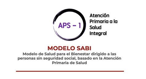 Resumen de Atención Primaria a la Salud Integral APS I Modelo SABI