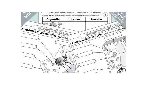 A Level Biology: Cell Structure Worksheet Bundle | Teaching Resources