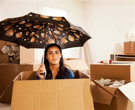 8000 Moving Day Funny Stock Photos Pictures And Royalty Free Images
